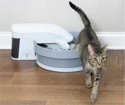 Zelfreinigende Kattenbak - PetSafe Simply Clean - Fluisterstil Met Koolstoffilter Tegen Geurtjes -Merkloos Winkel 1200x1005 1