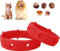 Merkloos EPIN | Vlooienband | Kat & Hond | Verstelbaar | Vlooien & Teken -Merkloos Winkel 1200x1017