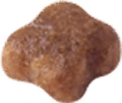 Royal Canin Mother & Babycat - Kattenvoer - 4 Kg 24 Royal Canin Mother & Babycat - Kattenvoer - 4 Kg -Merkloos Winkel 1200x1018