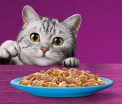 Whiskas 7+ Natvoer - Vis - Selectie In Gelei - Maaltijdzakjes 48 X 85 G -Merkloos Winkel 1200x1019 1