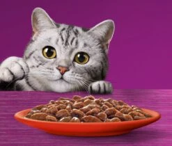 Whiskas 7+ Natvoer - Classic - Selectie In Saus - Maaltijdzakjes 48 X 85 G -Merkloos Winkel 1200x1019 2