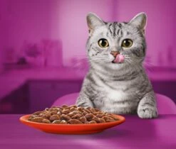 Whiskas 1+ Natvoer - Classic - Selectie In Saus - Maaltijdzakjes 40 X 85 G -Merkloos Winkel 1200x1019 3