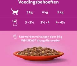 Whiskas 1+ Natvoer - Classic - Selectie In Gelei - Maaltijdzakjes 60 X 85 G -Merkloos Winkel 1200x1030 2