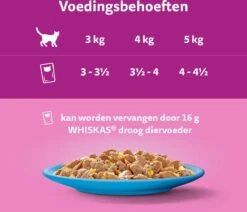 Whiskas 7+ Natvoer - Vis - Selectie In Gelei - Maaltijdzakjes 48 X 85 G -Merkloos Winkel 1200x1030 3