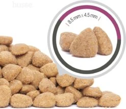 Husse Exclusive Katt Sterilised - Kattenvoer -7 Kg -Merkloos Winkel 1200x1033 1