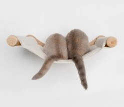 RHRQuality Wandmeubel Wandmontage Klimmuur Kat 53 X 43cm Luxe Hangmat XXL Creme Klim Wand Muur Krabpaal Katten Muurbevestiging -Merkloos Winkel 1200x1041 1