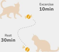 Cheerble Mini Ball 2.0 - Slimme Interactieve Zelf Rollende Bal Voor Katten - 3 Speelmodi - Kattenspeeltjes - USB Oplaadbaar - Rood -Merkloos Winkel 1200x1051 3