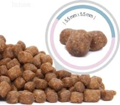 Husse Kattunge Kitten - 2 Kg - Kittenvoer - Kattenvoer - Kittenbrokjes 10 Husse Kattunge Kitten - 2 Kg - Kittenvoer - Kattenvoer - Kittenbrokjes -Merkloos Winkel 1200x1054