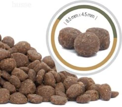 Husse Opus Lynx Graanvrij Kattenvoer - 7 Kg -Merkloos Winkel 1200x1056 2