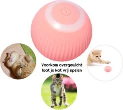 Otiume Slimme Katten Speeltje - Interactieve Zelf Rollende Bal Voor Katten - Kattenspeeltjes - USB Oplaadbaar- Turquoise -Merkloos Winkel 1200x1072