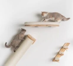 RHRQuality Wandmeubel Wandmontage Klimmuur Kat 53 X 43cm Luxe Kattenbed Creme Wand Muur Krabpaal Katten Muurbevestiging -Merkloos Winkel 1200x1090 1