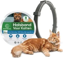 Essential Link Teken- En Vlooienband - Vlooienband Kat – Anti Vlooien – Vlooienmiddel - Tekenband - Diervriendelijk -Merkloos Winkel 1200x1102