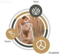 Husse Exclusive Lam & Rijst - Kattenvoer - 7 Kg -Merkloos Winkel 1200x1104