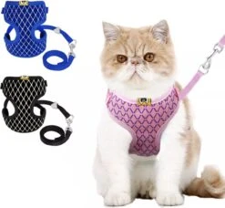 Merkloos Kattentuigje Met Looplijn - Kattenharnas - Kittentuigje - Kattenriem Met Looplijn - Kitten Tuigje Verstelbaar - Roze - Ixen 6 Merkloos Kattentuigje Met Looplijn - Kattenharnas - Kittentuigje - Kattenriem Met Looplijn - Kitten Tuigje Verstelbaar - Roze - Ixen -Merkloos Winkel 1200x1107 5