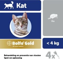 Bayer Bolfo Gold 40 Anti Vlooienmiddel - Kat - 0 Tot 4 Kg - 4 Pipetten -Merkloos Winkel 1200x1116 3