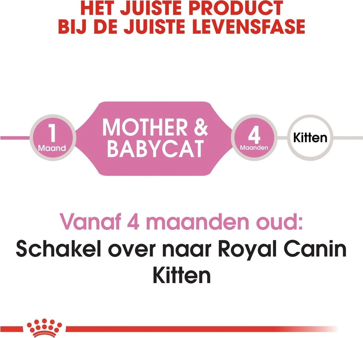 Royal Canin Mother & Babycat - Kattenvoer - 4 Kg 11 Royal Canin Mother & Babycat - Kattenvoer - 4 Kg - Afbeelding 11