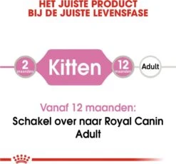Royal Canin Kitten In Jelly - Kattenvoer - 1020 G 31 Royal Canin Kitten In Jelly - Kattenvoer - 1020 G -Merkloos Winkel 1200x1117 3