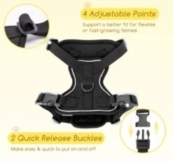 Nobleza Kattenharnas M Reflecterend Zwart Met Riem 11 Nobleza Kattenharnas M Reflecterend Zwart Met Riem -Merkloos Winkel 1200x1121 8