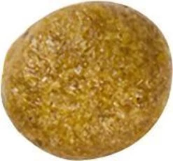 Royal Canin Kat Renal2 Kg -Merkloos Winkel 1200x1122 1