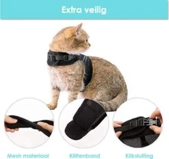 Kattentuigje Met Leiband Riem Kattenharnas Geel Maat M Kat & Kitten - Dieren Kattenriem - Cat Leash - Halsomvang 20 Tot 26cm - Borstomvang 30 Tot 34cm - Zootic® -Merkloos Winkel 1200x1126 1