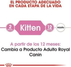 Royal Canin Kitten - Kittenvoer - 2 Kg -Merkloos Winkel 1200x1127 2