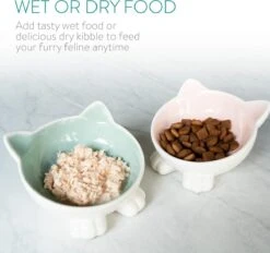 Navaris Voerbakjes Voor Katten - Set Van 2 Voer- En Waterbakken - Etensbak Van Keramiek - Met Antislip Voetjes - Kattenvorm - Roze/Groen 10 Navaris Voerbakjes Voor Katten - Set Van 2 Voer- En Waterbakken - Etensbak Van Keramiek - Met Antislip Voetjes - Kattenvorm - Roze/Groen -Merkloos Winkel 1200x1128 4