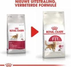 Royal Canin Fit 32 - Kattenvoer - 10 Kg -Merkloos Winkel 1200x1129