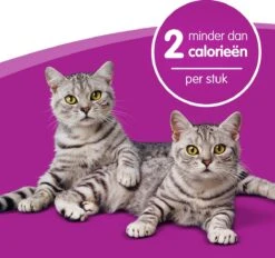 Whiskas Dentabites Kattensnoepjes - Kip - 8 X 40g -Merkloos Winkel 1200x1129 3