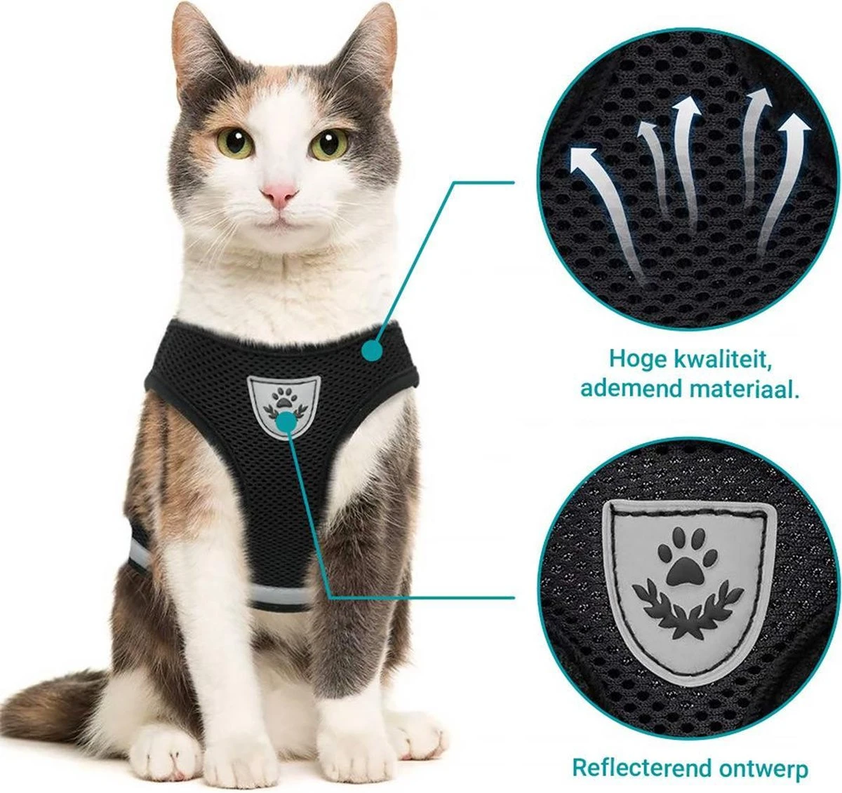 Merkloos Kattentuigje Met Looplijn | Zwart Kattenharnas | Easy Step In | Kattenriem | Kattenlijn | Kattentuig | Maat S 3 Merkloos Kattentuigje Met Looplijn | Zwart Kattenharnas | Easy Step In | Kattenriem | Kattenlijn | Kattentuig | Maat S - Afbeelding 3