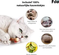 Filo Kattenspeelgoed Set 30 Stuks - Kattenspeeltje Kattentunnel - Kattenhengel - Kattenveertjes - Vis Met Kattenkruid - Kattenspeeltjes Intelligentie Kitten - Interactief Speelgoed Katten - Poezen Speeltjes -Merkloos Winkel 1200x1133 6