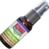 KONG Catnip Spray - Kattenspeelgoed - 30 Ml