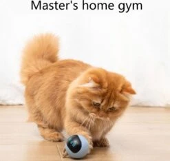 Otiume Interactieve Speelbal - Slimme Interactieve Jaag Speeltje Voor Katten - Kattenspeeltjes - Intelligente Jaagbal - AI -USB Oplaadbaar - LED - Blauw 11 Otiume Interactieve Speelbal - Slimme Interactieve Jaag Speeltje Voor Katten - Kattenspeeltjes - Intelligente Jaagbal - AI -USB Oplaadbaar - LED - Blauw -Merkloos Winkel 1200x1137 8