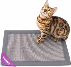 Petrebels Mastermat 60 Katten Krabmat - Grijs - 60 X 40 Cm - Zeer Sterk 18 Petrebels Mastermat 60 Katten Krabmat - Grijs - 60 X 40 Cm - Zeer Sterk -Merkloos Winkel 1200x1137 9