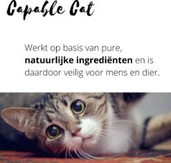 Capable Cat Vlooienband Kat | Vlooien | Luizen | Teken | Mijten | 8 Maanden Bescherming | Katten -Merkloos Winkel 1200x1142 1