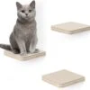Navaris Katten Klimmuur 3 Tredes - 18 X 18 X 1,5 Cm Per Plankje - Katten Klimwand Van Hout - Inclusief Bevestigingsmateriaal