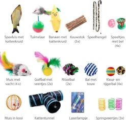 Filo Kattenspeelgoed Set 30 Stuks - Kattenspeeltje Kattentunnel - Kattenhengel - Kattenveertjes - Vis Met Kattenkruid - Kattenspeeltjes Intelligentie Kitten - Interactief Speelgoed Katten - Poezen Speeltjes -Merkloos Winkel 1200x1145 5