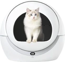 Petree Dome- Zelfreinigende Kattenbak - Automatisch - Katten - Anti-geur - 60 X 35 X 60 Cm