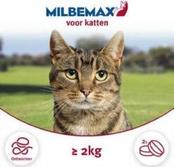 Milbemax Kat Groot - 1 ST à 2 X 2 TABL -Merkloos Winkel 1200x1152 6