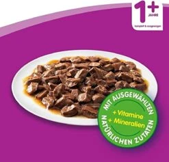 Whiskas Classic Selectie Kattenvoer, Hoogwaardig Nat Voer Voor Volwassen Katten 48 X 100g -Merkloos Winkel 1200x1153 1