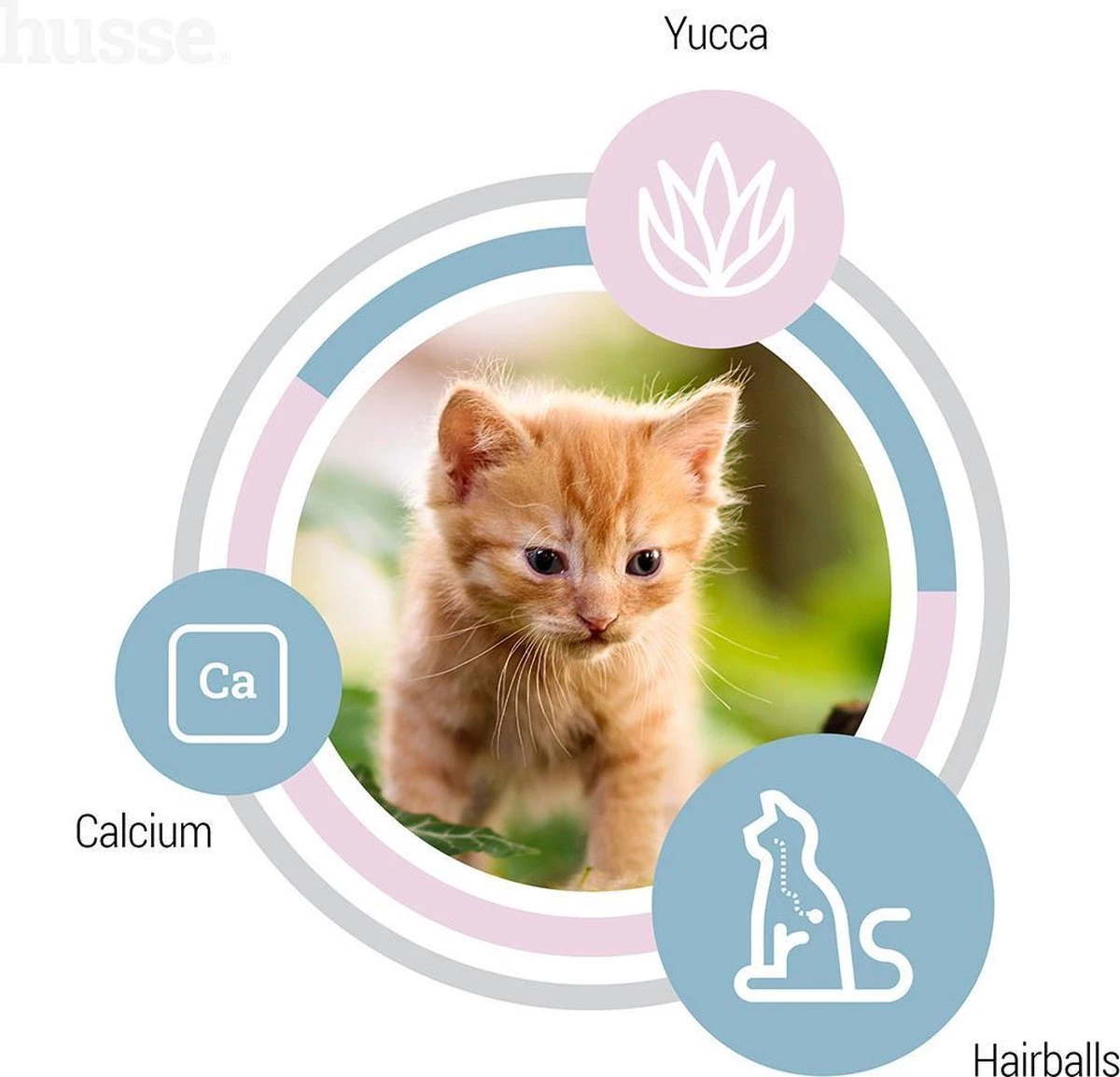 Husse Kattunge Kitten - 2 Kg - Kittenvoer - Kattenvoer - Kittenbrokjes 6 Husse Kattunge Kitten - 2 Kg - Kittenvoer - Kattenvoer - Kittenbrokjes - Afbeelding 6