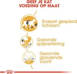 Royal Canin Siamese Adult - Kattenvoer - 4 Kg -Merkloos Winkel 1200x1155