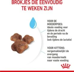 Royal Canin Mother & Babycat - Kattenvoer - 4 Kg 28 Royal Canin Mother & Babycat - Kattenvoer - 4 Kg -Merkloos Winkel 1200x1159 10