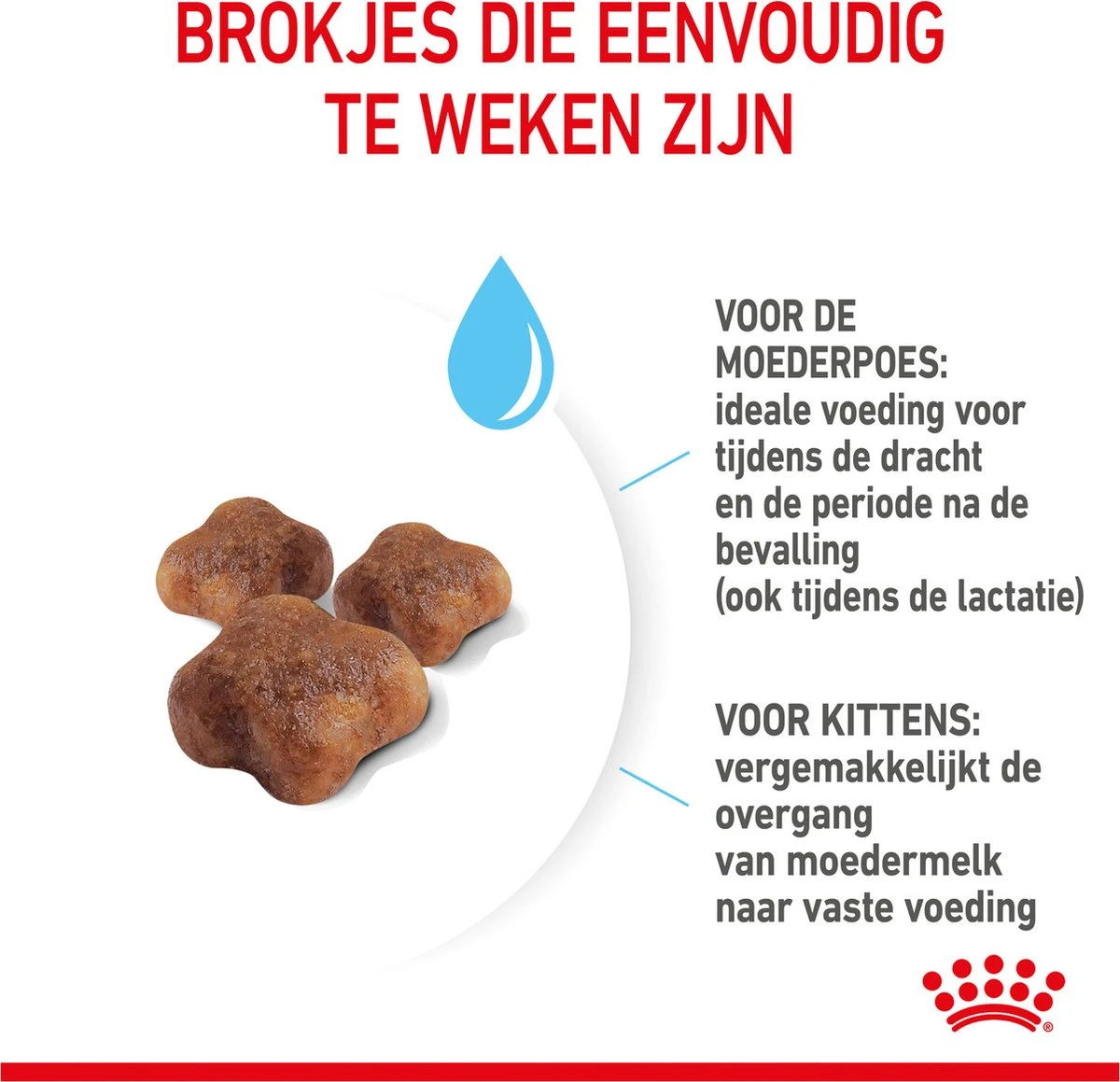 Royal Canin Mother & Babycat - Kattenvoer - 4 Kg 9 Royal Canin Mother & Babycat - Kattenvoer - 4 Kg - Afbeelding 9