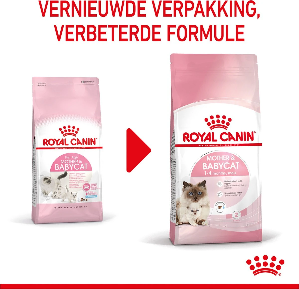 Royal Canin Mother & Babycat - Kattenvoer - 4 Kg 14 Royal Canin Mother & Babycat - Kattenvoer - 4 Kg - Afbeelding 14