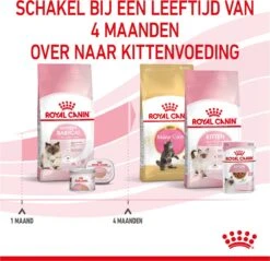 Royal Canin Mother & Babycat - Kattenvoer - 4 Kg 39 Royal Canin Mother & Babycat - Kattenvoer - 4 Kg -Merkloos Winkel 1200x1159 15