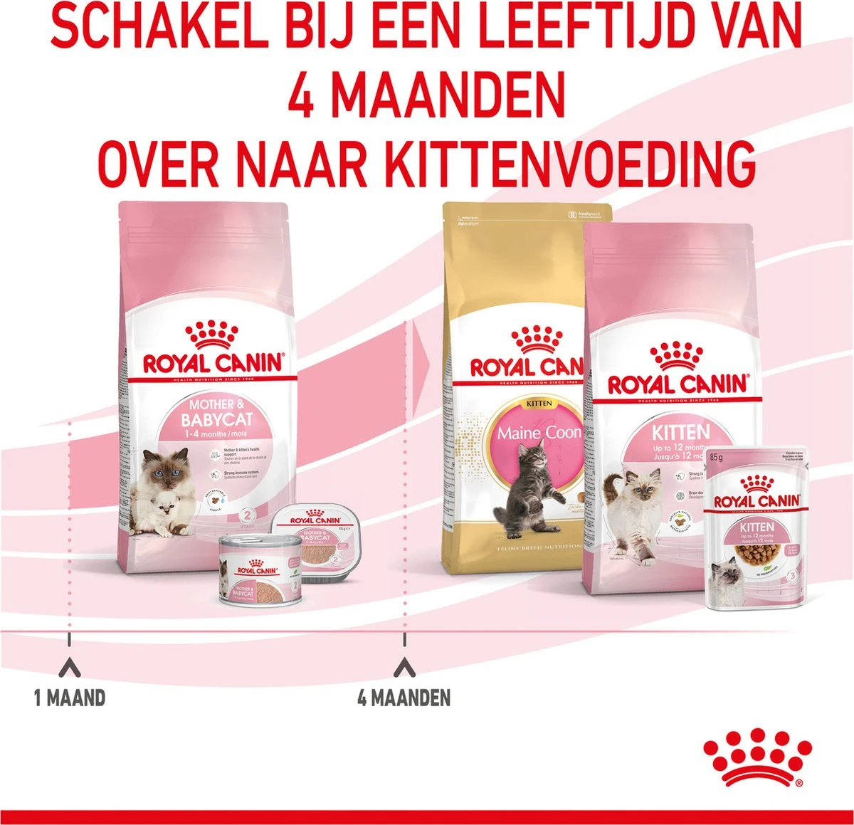 Royal Canin Mother & Babycat - Kattenvoer - 4 Kg 20 Royal Canin Mother & Babycat - Kattenvoer - 4 Kg - Afbeelding 20