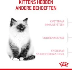 Royal Canin Kitten - Kittenvoer - 2 Kg -Merkloos Winkel 1200x1159 18