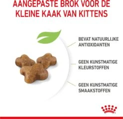 Royal Canin Kitten - Kittenvoer - 2 Kg -Merkloos Winkel 1200x1159 19