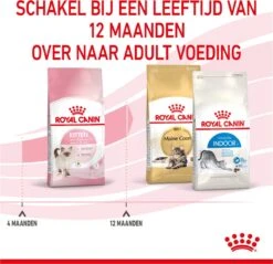 Royal Canin Kitten - Kittenvoer - 2 Kg -Merkloos Winkel 1200x1159 20
