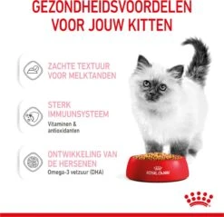 Royal Canin Kitten In Jelly - Kattenvoer - 1020 G 24 Royal Canin Kitten In Jelly - Kattenvoer - 1020 G -Merkloos Winkel 1200x1159 28